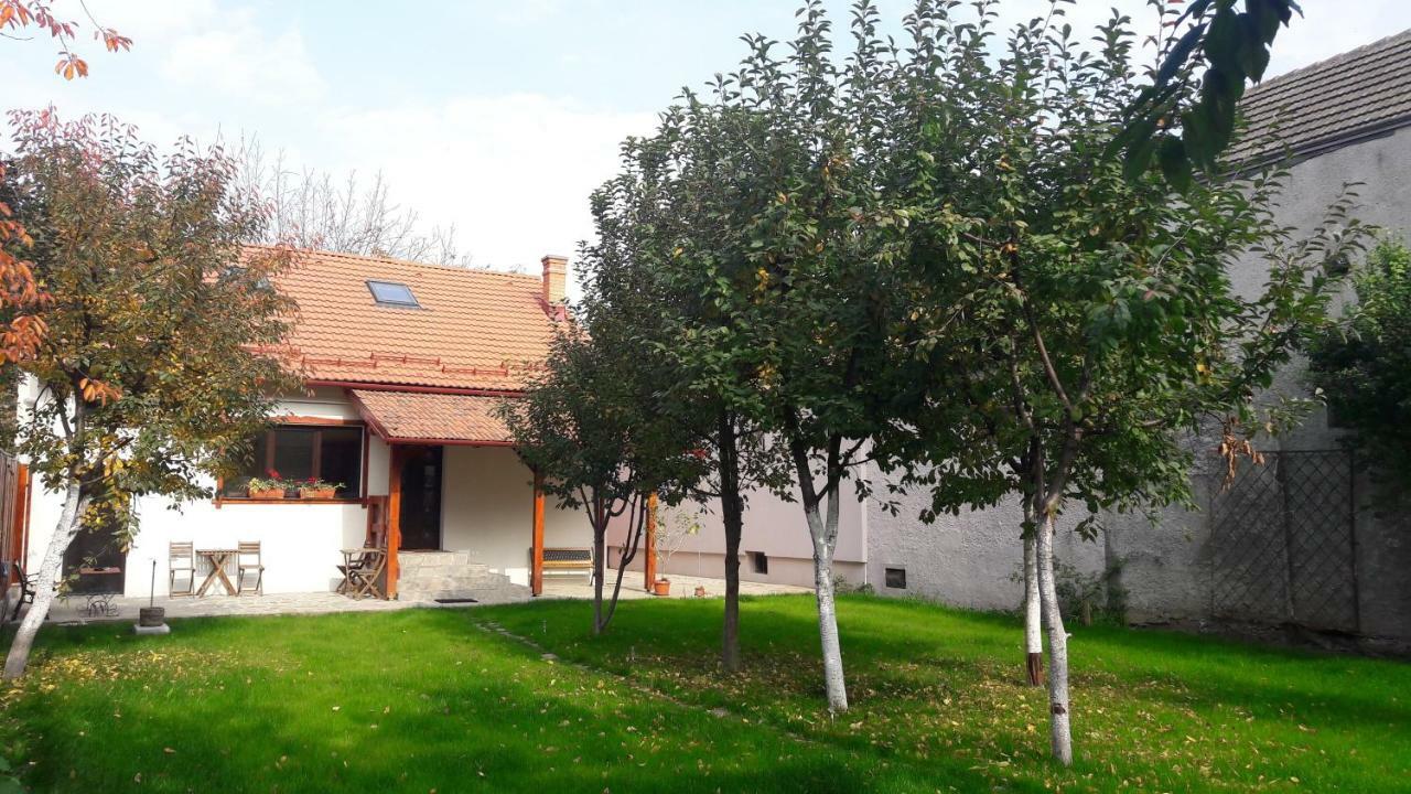 Zozo Hostel Brașov Exterior foto